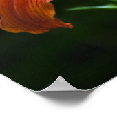 Impression de Flamme de Jardin (Coin)