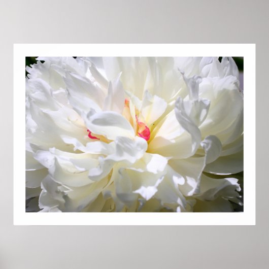 Impression de flamme de pivoine (Devant)