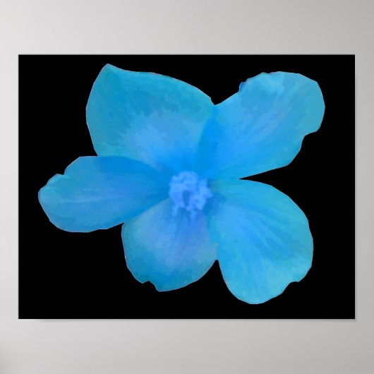 Impression de fleur de Begonia Bleu Belle (Devant)