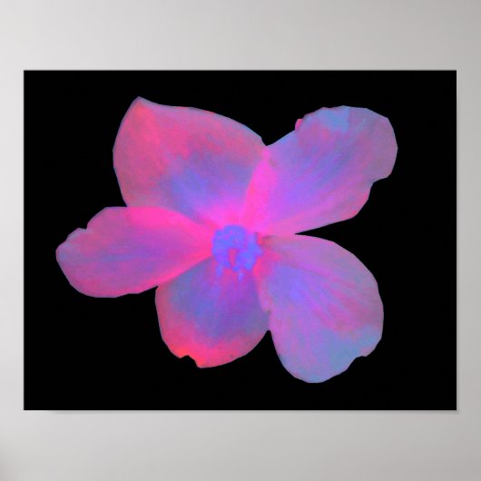 Impression de fleur de Begonia fluorescent (Devant)