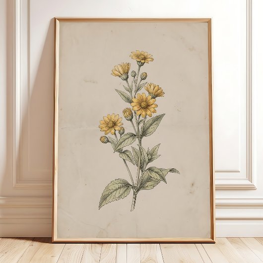 Impression de fleur de Melampodium vintage sur toi