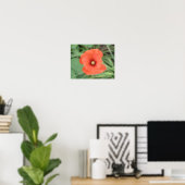 Impression de fleur de pavot sauvage (Bureau à domicile)