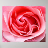 Impression de fleur de rose rose (Devant)