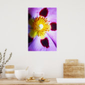 Impression de fleurs cistus (Cuisine)