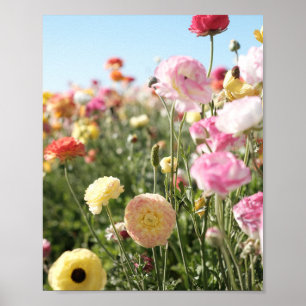 Impression de fleurs colorées, papier pour affiche