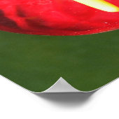 Impression de fleurs d'anthurium (Coin)