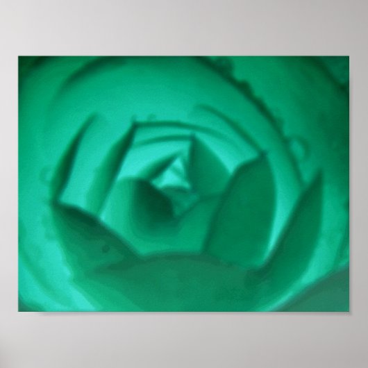 Impression de fleurs de Camellia hypnotique (Devant)