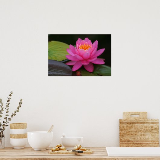 Impression de fleurs de Lotus rose (Cuisine)