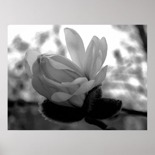 Impression de fleurs de printemps (Devant)