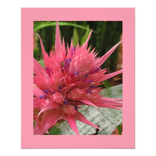 Impression de fleurs exotiques