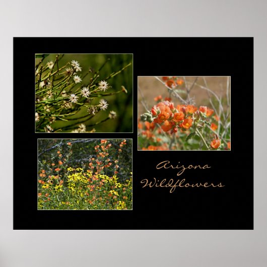 impression de fleurs sauvages d'Arizona (Devant)