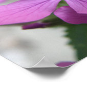 Impression de fleurs sauvages violettes (Coin)