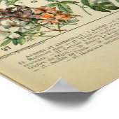 Impression de fleurs vintages 1909 - Adolphe Millo (Coin)