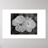 Impression de flux (Devant)