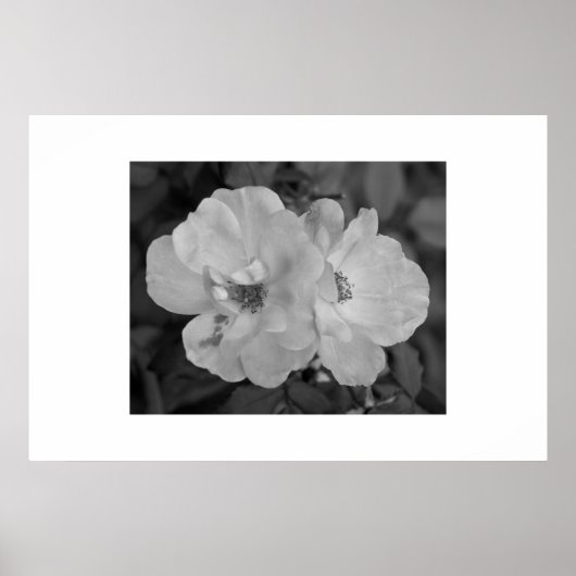 Impression de flux (Devant)