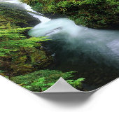 Impression de forêt (Coin)