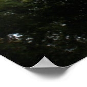 Impression de forêt déplaisante (Coin)