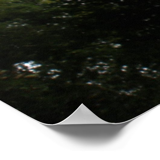 Impression de forêt déplaisante (Coin)