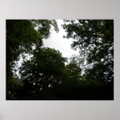 Impression de forêt déplaisante (Devant)