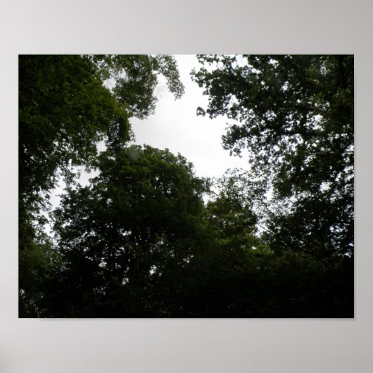 Impression de forêt inquiétante (Devant)