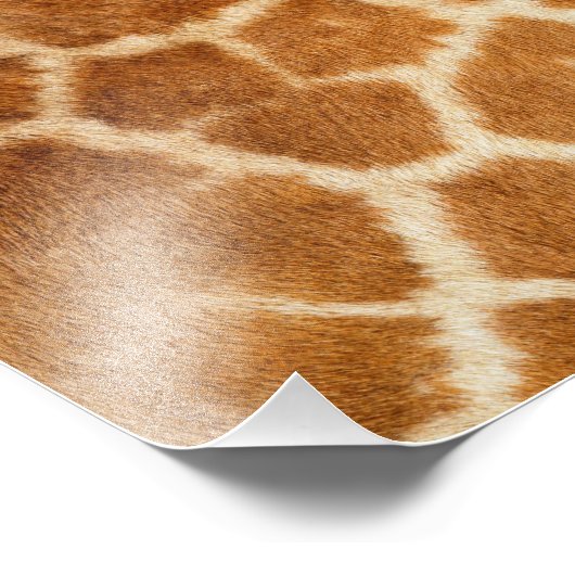 Impression de fourrure de girafe (Coin)
