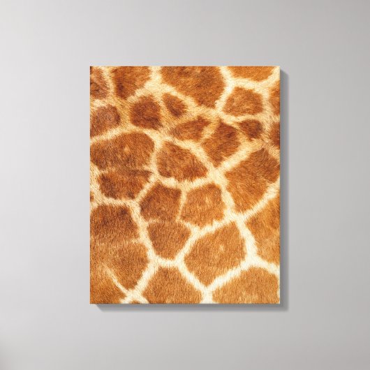 Impression de fourrure de girafe (Recto)