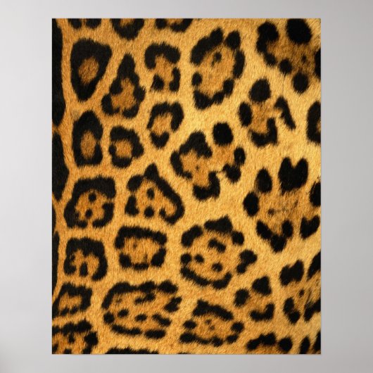 Impression de fourrure Jaguar (Devant)