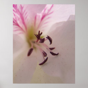 Impression de géranium