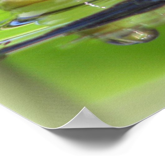 Impression de grenouille verte (Coin)