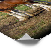 impression de groupe clydesdale (Coin)