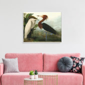 Impression de Héron Pourpré d'Audubon : Art d'Oise (Insitu(Salon))
