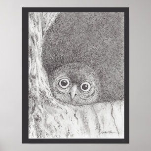 Impression de jeune hibou faucon