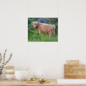 Impression de jeune vache des Highlands (Cuisine)