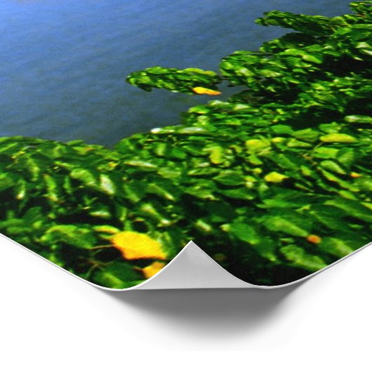 Impression de la baie Kaneohe (Coin)