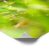 Impression de la boîte (Coin)