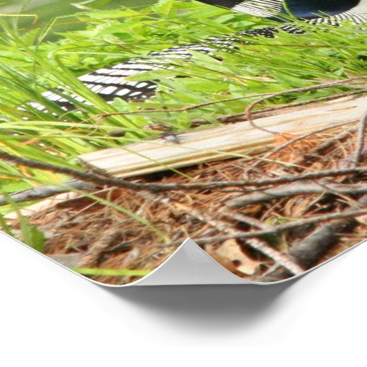 Impression de la carte d'imbrication (Coin)