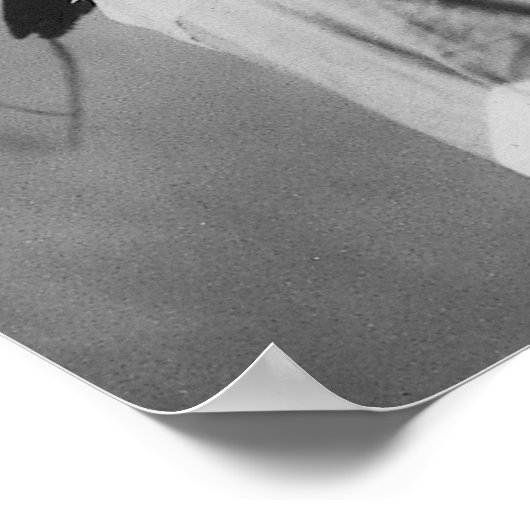 Impression de la casse de l'ours principal (Coin)