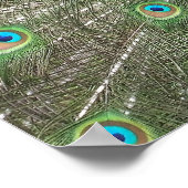 Impression de la chaîne de paon (Coin)