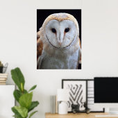 Impression de la chouette de l'étable (Bureau à domicile)