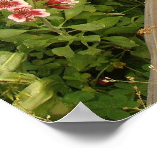 Impression de la clôture du jardin (Coin)