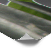 Impression de la colombe Angel Fallen (Coin)