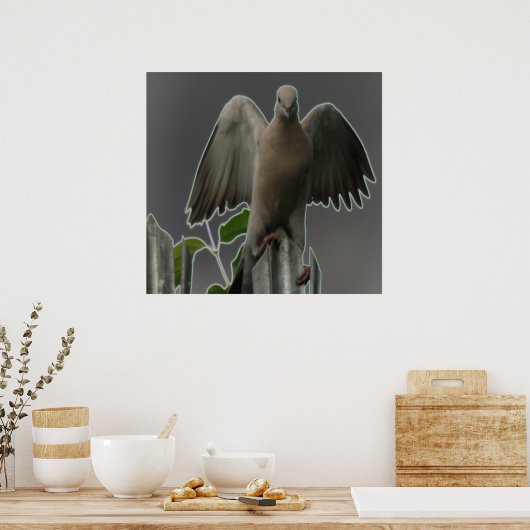 Impression de la colombe Angel Fallen (Cuisine)