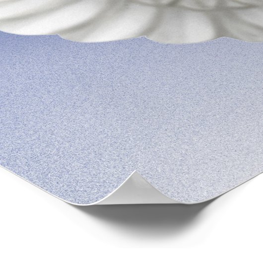 Impression de la colombe pacifique (Coin)