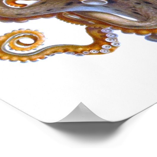 Impression de la créature de la mer d'Octopus (Coin)