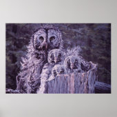 Impression de la "famille de chouettes" (Devant)