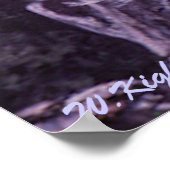 Impression de la "famille de chouettes" (Coin)