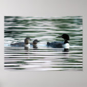 Impression de la famille de connecteurs (Devant)