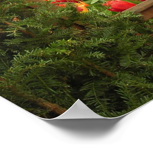 Impression de la fenêtre Tulip (Coin)