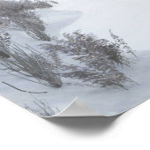 Impression de la feuille de neige d'hiver (Coin)