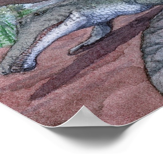 Impression de la formation Redonda (Coin)